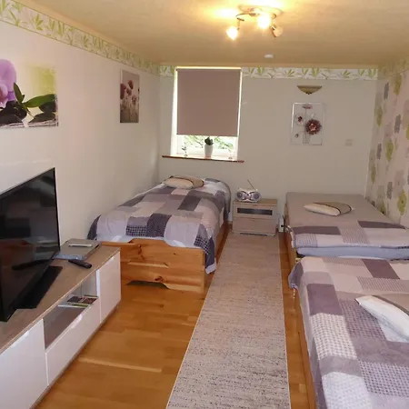 شقة Zum Alten Pfarrhaus -